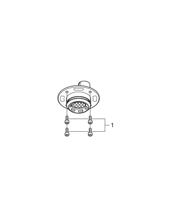 Grohe Rainshower  Aqua  Pure Spray Former - 26737MS0