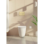 VitrA Root Round Kumanda Paneli, Fırçalı Altın 740-2225